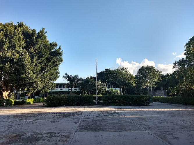Mejores Universidades En Conkal Cerca De Mi