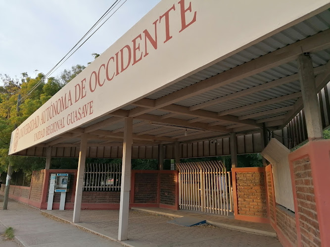 Mejores Universidades En Guasave Cerca De Mi