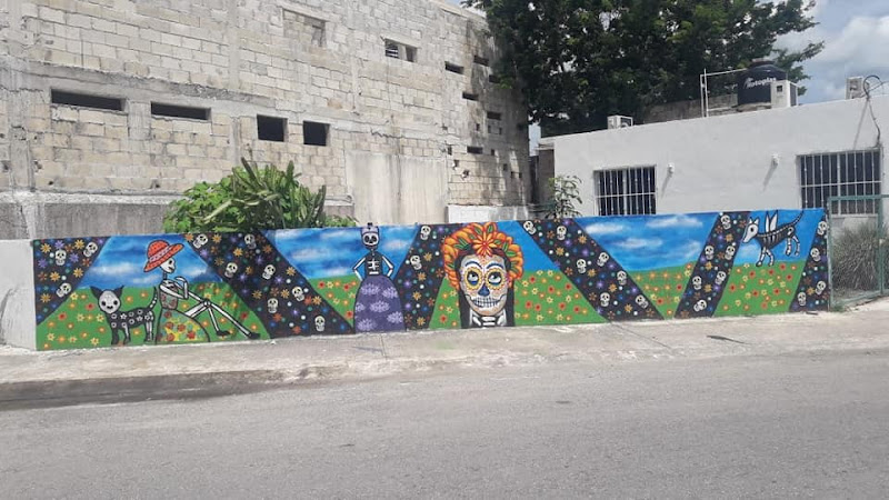 Mejores Universidades En Cozumel Cerca De Mi