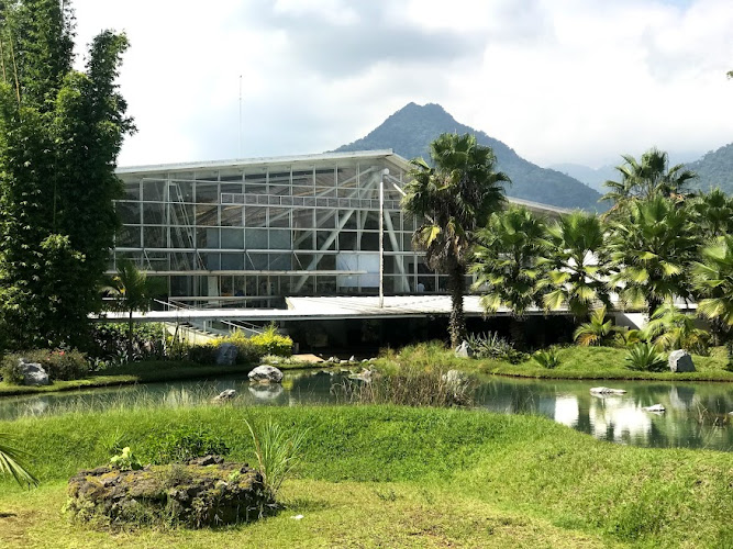Mejores Universidades En Ixtaczoquitlan Cerca De Mi