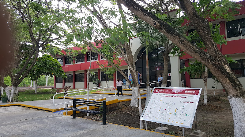 Mejores Universidades En Champoton Cerca De Mi