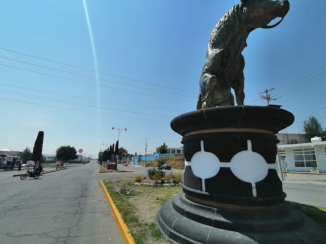 Mejores Universidades En Huamantla Cerca De Mi