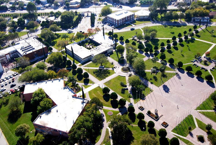 Mejores Universidades En Montemorelos Cerca De Mi