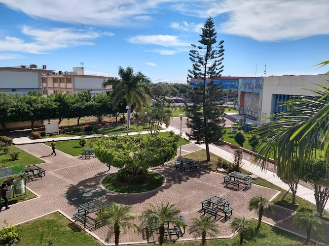 Mejores Universidades En Sinaloa Cerca De Mi