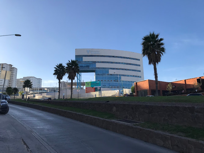 Mejores Universidades En San Luis Potosi Cerca De Mi