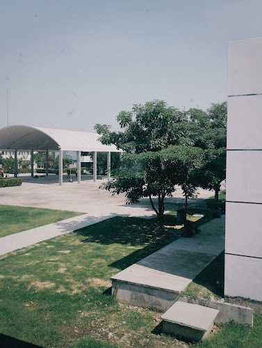Mejores Universidades En Salina Cruz Cerca De Mi