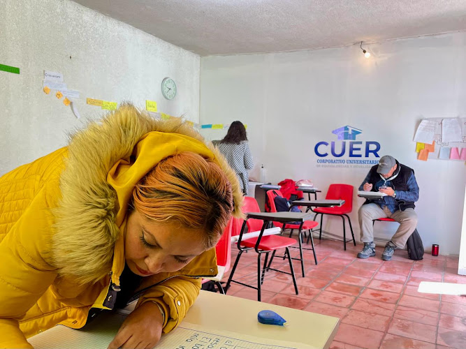 Mejores Universidades En Chapa De Mota Cerca De Mi