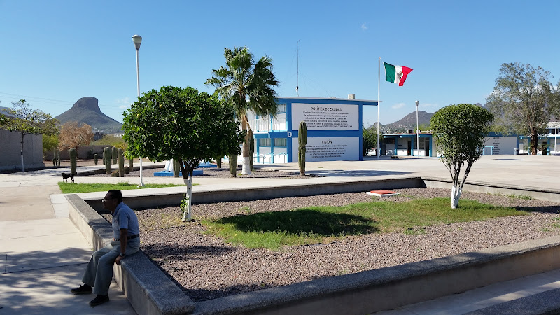Mejores Universidades En Guaymas Cerca De Mi
