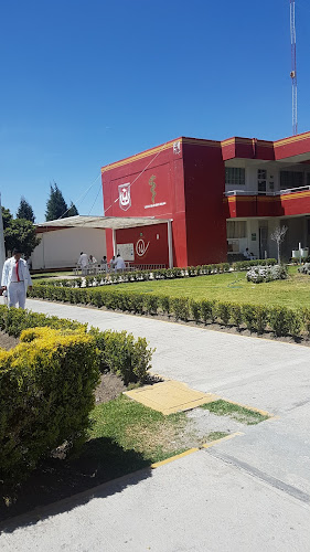 Mejores Universidades En Zacatelco Cerca De Mi