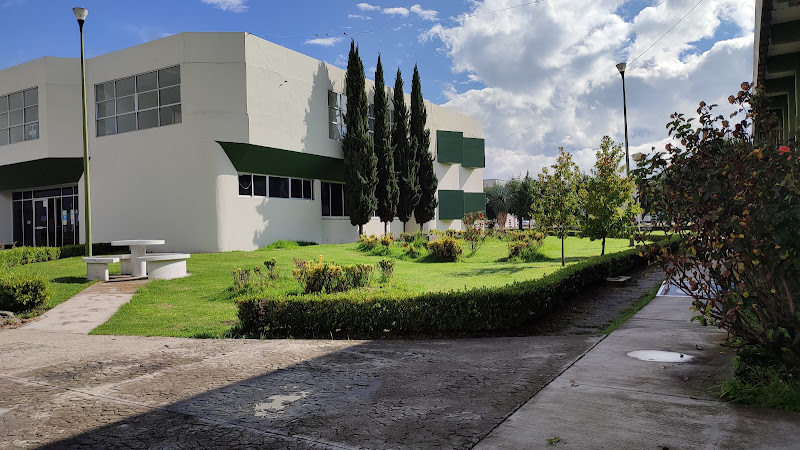 Mejores Universidades En Amecameca Cerca De Mi