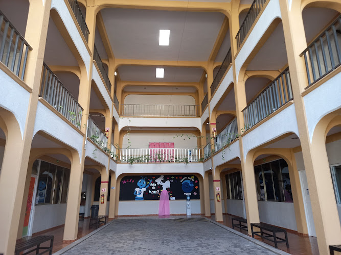 Mejores Universidades En Tulum Cerca De Mi