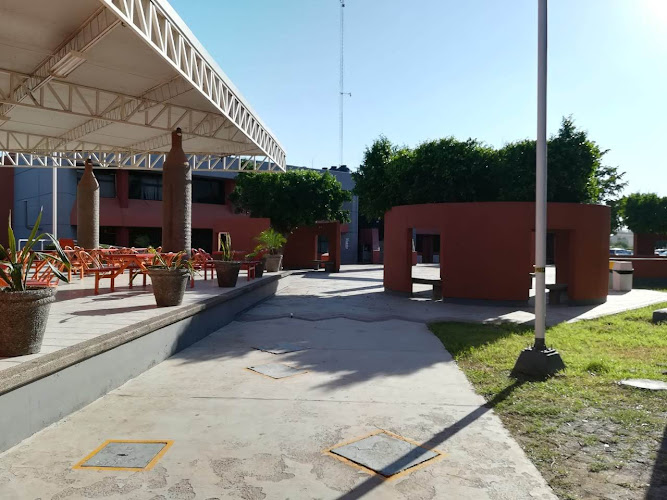 Mejores Universidades En Cajeme Cerca De Mi