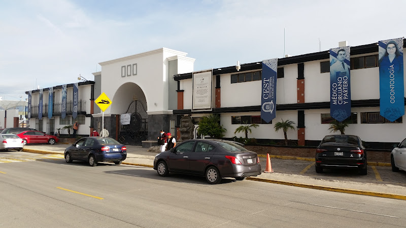Mejores Universidades En Tepeaca Cerca De Mi