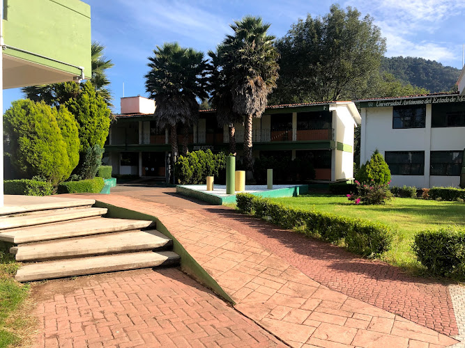 Mejores Universidades En Tenancingo Cerca De Mi