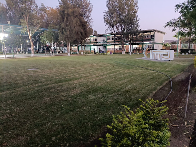 Mejores Universidades En Tlajomulco De Zuñiga Cerca De Mi