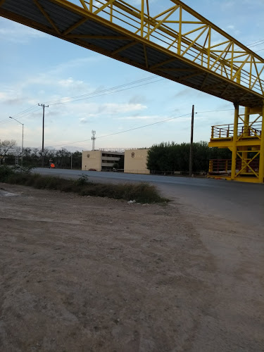 Mejores Universidades En Linares Cerca De Mi