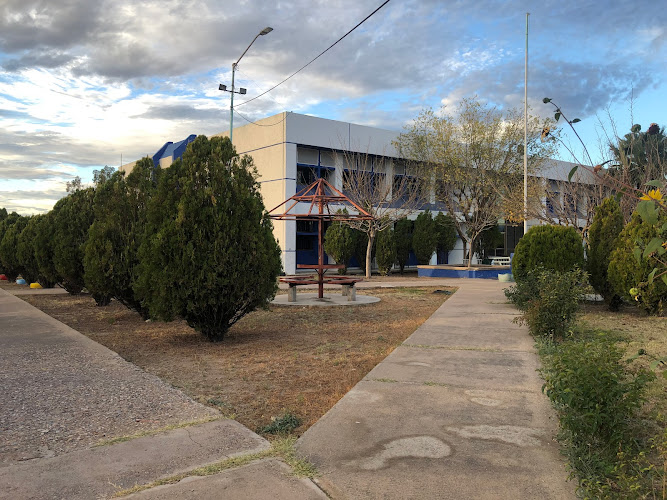 Mejores Universidades En Agua Prieta Cerca De Mi