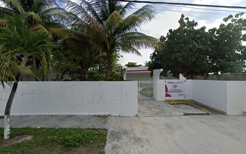 Mejores Universidades En Puerto Morelos Cerca De Mi